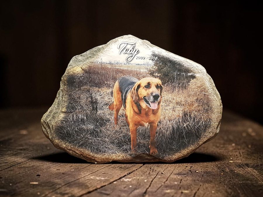 Indoor matte stone of Toby, a hound in a field, on a rustic wooden table