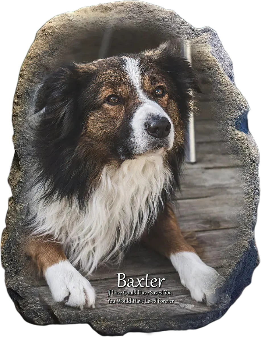 Baxter's memorial stone shown at the selected size